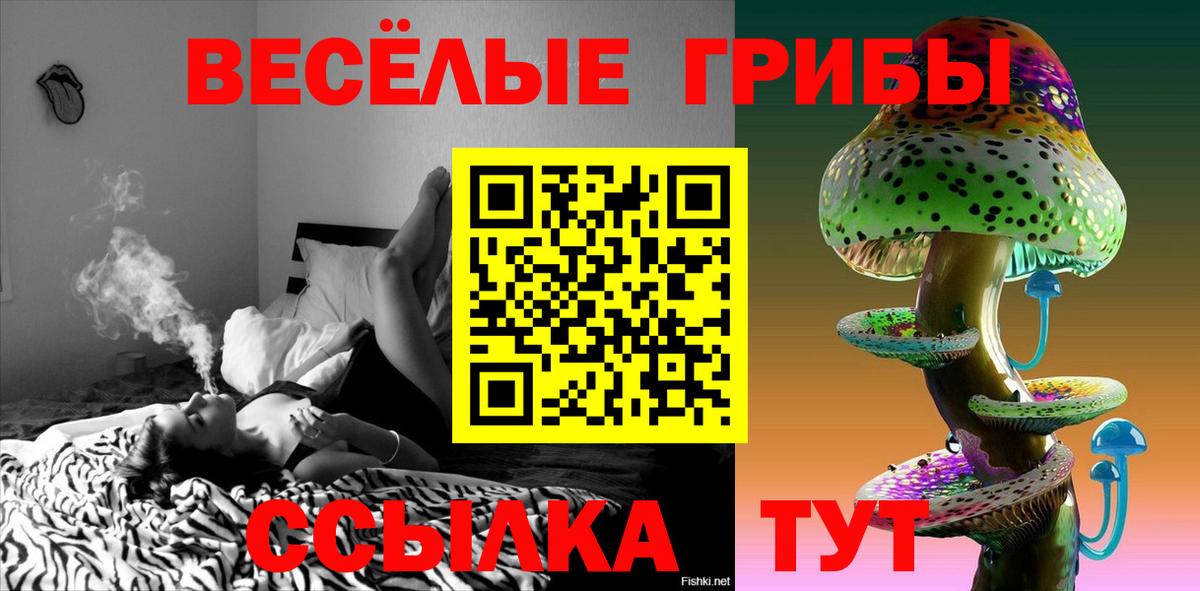 Псилоцибиновые грибы GOLDEN TEACHER Пыть-Ях