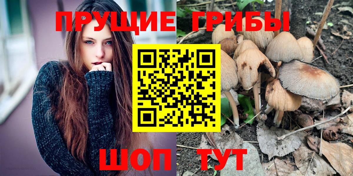 Пыть-Ях  Псилоцибиновые грибы Magic Shrooms  Вход с VPN  Галлюциногенные грибы GOLDEN TEACHER 